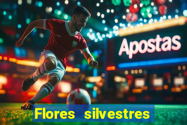 Flores silvestres brasileiras 25